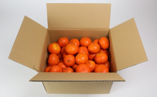 【訳あり・優品】野菜ソムリエ石児さんの「アンコール 10kg」 ミカン みかん 蜜柑 柑橘 10kg 訳あり 甘い 柑橘類 アンコール アンコールオレンジ フルーツ 先行予約 <103-020>