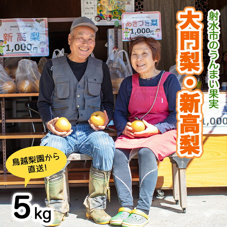 【ふるさと納税】射水の鳥越農園から直送！【大門梨（新高梨）】5kg　【梨 ナシ 果物 フルーツ 先行予約】 ※2025年9月下旬～2025年10月上旬頃に順次発送いたします