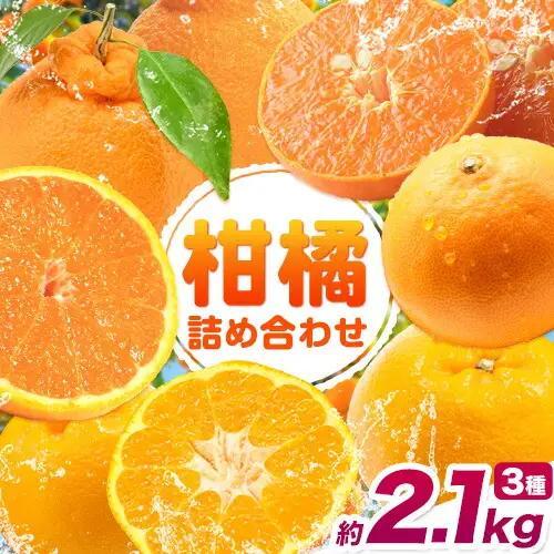 柑橘 食べ比べ 約2.1kg計3種入り 