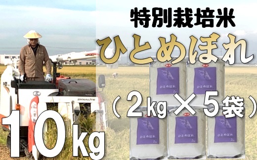 【令和5年産・精米】米蔵いいの特別栽培米ひとめぼれ10kg（2kg×5袋）