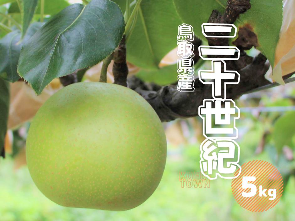 二十世紀梨 秀 約5kg 10〜20玉前後 鳥取県産 先行予約受付 2024年秋収穫分 なし5キロ TM23 0679