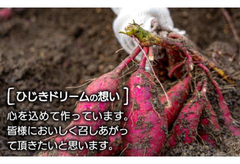 干し芋 紅はるか 1.2kg (200g×6袋）【干しいも 1.2キロ 200グラム 6袋 お菓子 菓子 和菓子 おやつ デザート 加工食品 ほしいも 野菜 さつまいも サツマイモ 紅はるか 小分け 