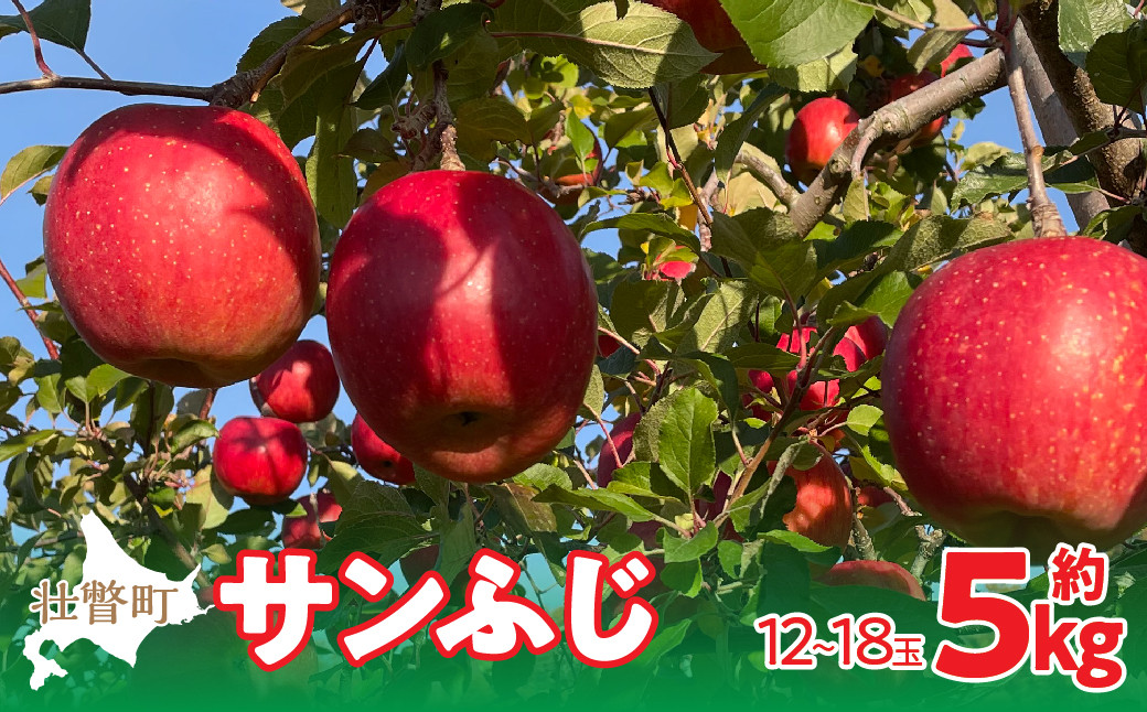 
            ＜2025年12月上旬よりお届け＞北海道壮瞥町　りんご　品種名「サンふじ」12～18玉約5kg 【 ふるさと納税 人気 おすすめ ランキング りんご リンゴ 林檎 サンふじ ふじ 甘い ジューシー 北海道 壮瞥町 送料無料 】 SBTF007
          
