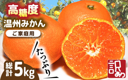 【2026年11月下旬〜発送】【高糖度】 温州みかん 約5kg（傷もの） / みかん 訳あり ミカン 蜜柑 長崎県産みかん 糖度 果物 くだもの フルーツ ふるーつ 旬 家庭用 5kg / 南島原市 / 南島原果物屋 [SCV014]