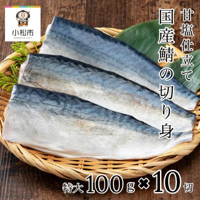 ふるさと納税 小松市 国産鯖の切り身 甘塩仕立て 10切れセット 小分け 冷凍サバ 骨取りさば