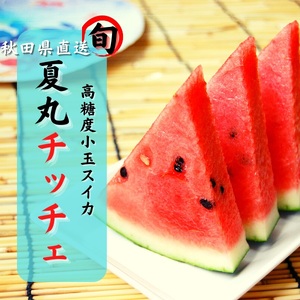すいか 秋田県産 小玉スイカ 夏丸 家庭 ギフト 旬 夏 贈答 1玉[B1-9902]