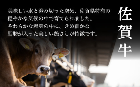 佐賀牛ヒレステーキ 600g (200g×3パック)