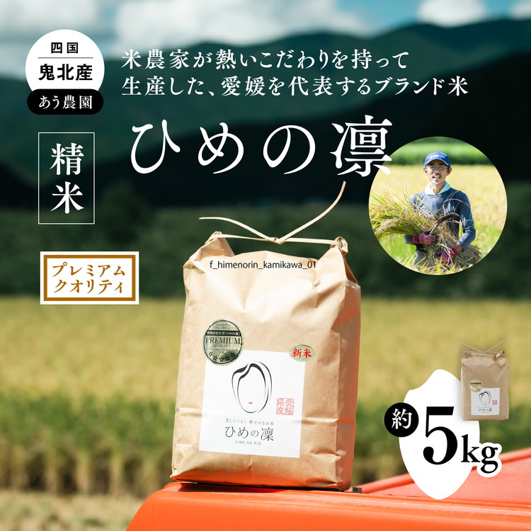 【先行予約】【R7年産】【愛媛県ブランド】ひめの凛 5kg（プレミアムクオリティ） ｜ お米 お米不足 お米品薄 おいしい お米 事業者支援 送料無料 白米 精米 国産 限定 ごはん ご飯 白飯 ゴハン 愛媛県産 鬼北町 ※2025年11月上旬より順次発送予定