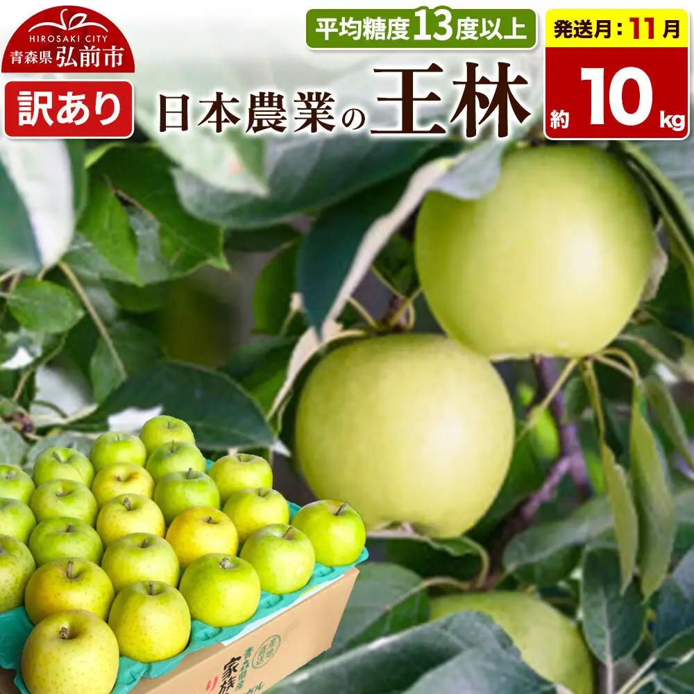 りんご 王林 訳あり 約10kg【11月発送】りんご