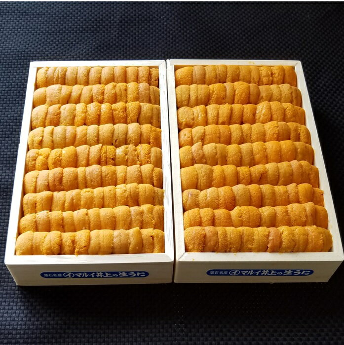 【ふるさと納税】エゾバフンウニ弁当並べ詰め 150g × 2 折 [11月中旬以降発送] うに ウニ 雲丹 バフンウニ エゾバフンうに えぞばふんうに 蝦夷バウンウニ 蝦夷ばふんうに ウニ丼 うに丼 雲丹丼 お取り寄せ グルメ 海鮮 北海道 根室市 D-53037