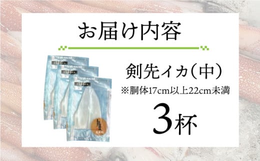 剣先イカ 刺身 （中） 3杯 《壱岐市》【株式会社マルショウ】 いか イカ 剣先いか セット おつまみ のし ギフト [JEW003] 14000 14000円