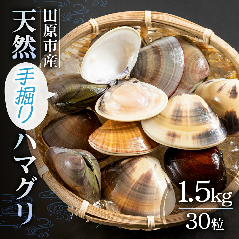 【ふるさと納税】天然手掘りハマグリ 砂抜き不要 天然ハマグリ 手掘り はまぐり ハマグリ 蛤 天然 ダシ 出汁 お吸い物 酒蒸し 焼ハマグリ 魚介 海産物 国産 アサリ 愛知県 田原市 新鮮 砂抜き 海鮮 魚介類 魚介 貝 人気