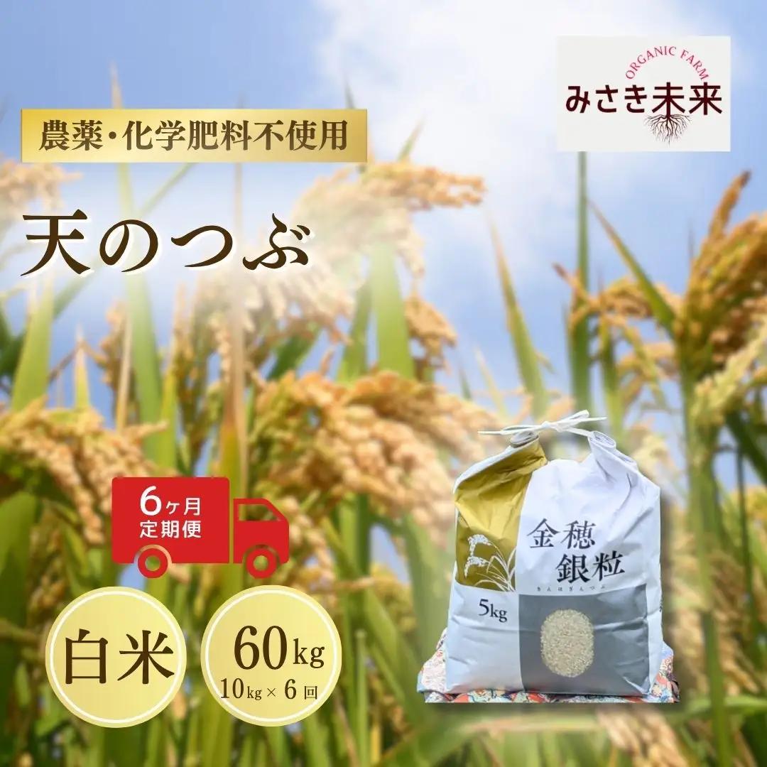 【先行予約】【6か月定期便】天のつぶ 白米 60kg (10kg×6回) 令和8年産 | 無農薬 農薬不使用 化学肥料不使用 精米 お米 米 こめ コメ 福島産 福島県産 南相馬 みさき未来 天のつぶ