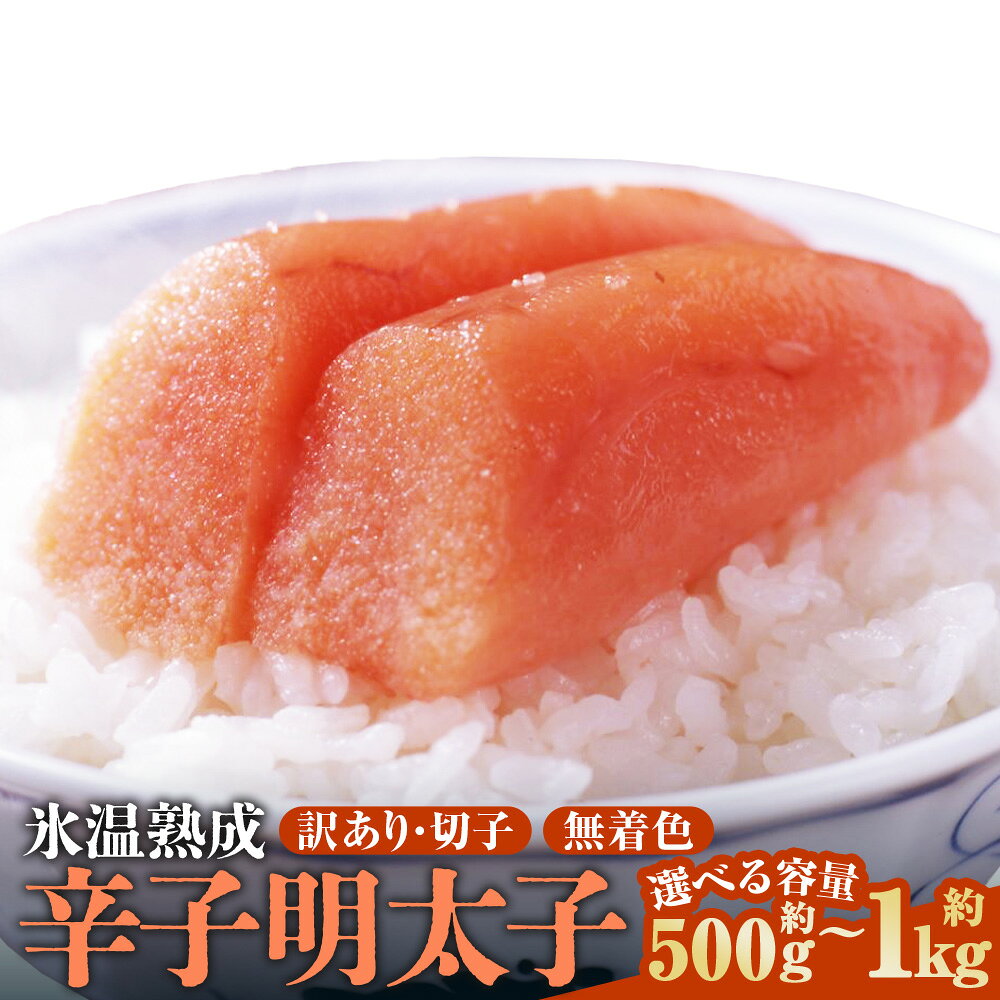 【ふるさと納税】博多優美堂 訳あり【氷温熟成 博多辛子明太子】無着色切子（切子） 計約500g（250g×2個） / 計約1kg（500g×2個） ＜選べる内容量＞ 辛子明太子 からしめんたいこ 魚卵 魚介類 水産物 切れ子 ごはんのお供 ご飯のお供 おつまみ 冷凍 福岡県 香春町 送料無料