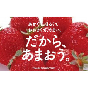 【期間限定】あまおうDX(デラックス)4パック(大牟田市)_果物・フルーツ いちご  イチゴ 苺_【配送不可地域：離島・北海道・沖縄県・東北】【1550974】
