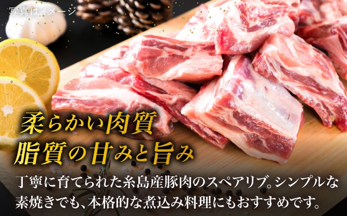 国産 豚肉 九州産 糸島産 糸島豚 国産豚 バーベキュー 煮込み