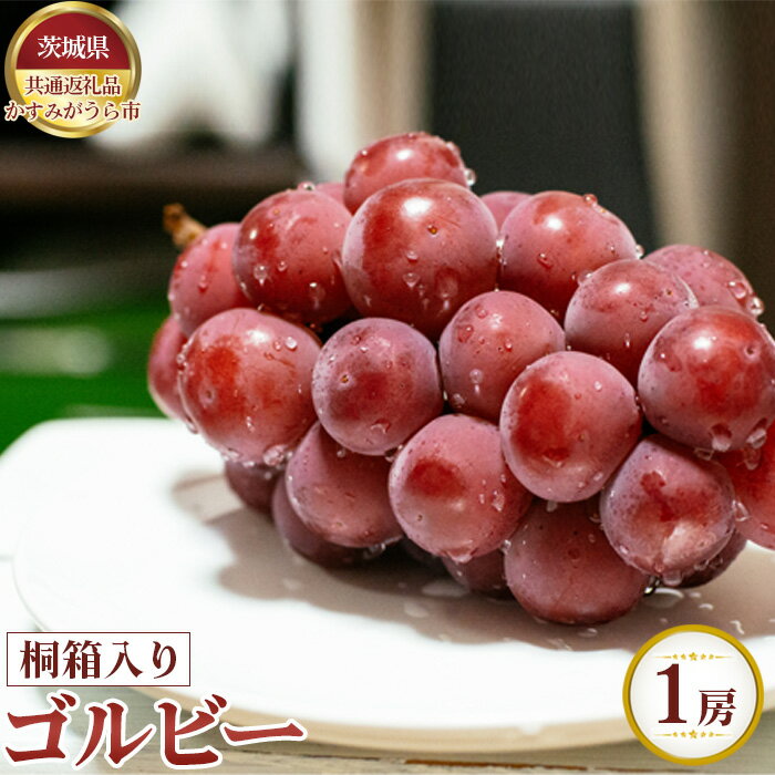 【ふるさと納税】【先行予約】ゴルビー　桐箱入り1房【茨城県共通返礼品 かすみがうら市】 ／ ぶどう ブドウ 葡萄 フルーツ 果物 贈答用 送料無料 茨城県 No.625