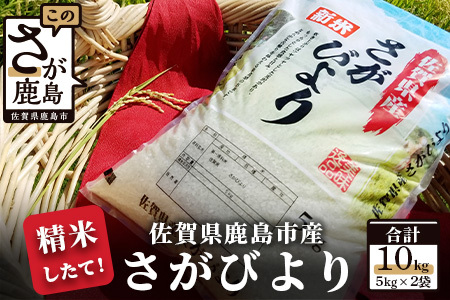 【ふるさと納税】さがびより 令和7年産 白米 5kg × 2袋 計10kg 鹿島市産 特A 獲得 米 | ふるさと納税 米 お米 新米 精米 こめ 国産 佐賀県 鹿島市 ふるさと 人気 送料無料 B-167