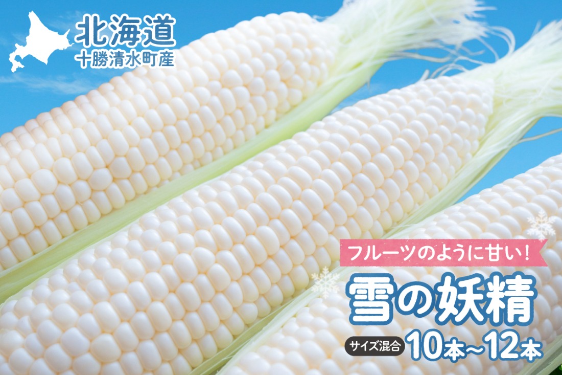 【2025年8月～発送開始！】北海道十勝清水町産 希少品種！ 白いとうもろこし 雪の妖精 サイズ混合 10～12本_S021-0017