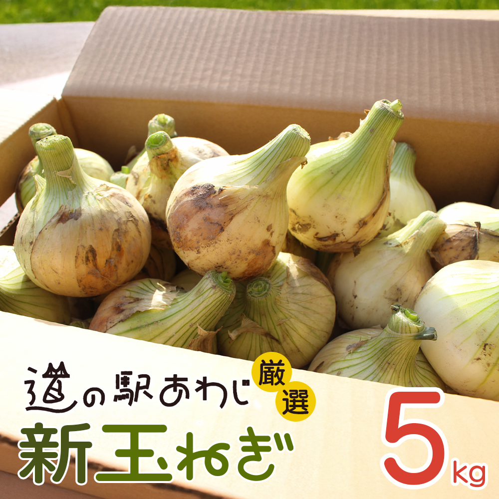道の駅あわじ厳選新玉ねぎ５kg【発送時期2026年5月頃】