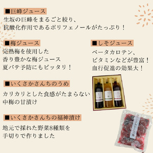 かあさん家 豪華詰合せセット (巨峰・梅ジュース 漬物 おからクッキー お菓子)  生坂村農業公社 | 豪華詰合せセット