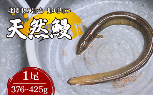 天然鰻 北関東の清流「那珂川産」 1尾 376～425g 真空冷凍 | 鰻 うなぎ ウナギ 天然 天然うなぎ 希少 貴重 鮮魚 新鮮 北関東 清流 蒲焼 かば焼き 白焼き 炭火焼 うな重 うな丼 Riverline 栃木県 茂木町