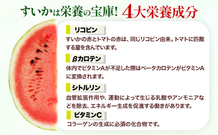 和歌山県産 小玉すいか ひとりじめ7(セブン) 2玉入り 3.5kg以上《2024年6月下旬-8月中旬頃出荷》 和歌山県 日高川町 スイカ 西瓜 すいか