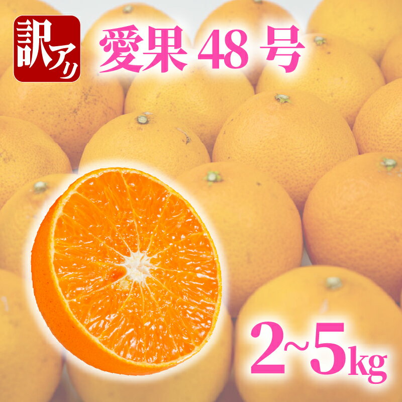 【ふるさと納税】 訳あり 愛果48号 約2kg / 約5kg | ( 紅プリンセス と同品種 ) 蜜柑 あいか48号 愛果 アイカ 柑橘 果物 くだもの フルーツ みかん ミカン mikan mican 不揃い 傷 ワケアリ 訳アリ 送料無料 愛媛県 松山市 VEG