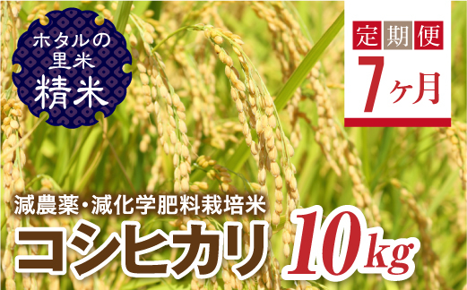 
                   ＜定期便7ヶ月＞ 令和8年産米【ホタルの里米】環境に配慮し農薬を減らした栽培米 コシヒカリ精米10kg  F4D-2297
                