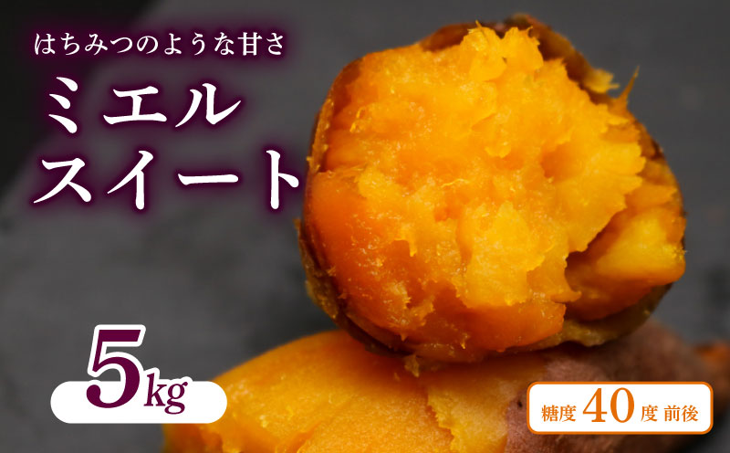 【新芋発送開始】 ミエルスイート 5キロ サツマイモ 芋 いも ミエルスィート おやつ スイーツ いも天 芋天 焼き芋 焼いも 焼芋 やきいも 高知県 南国市