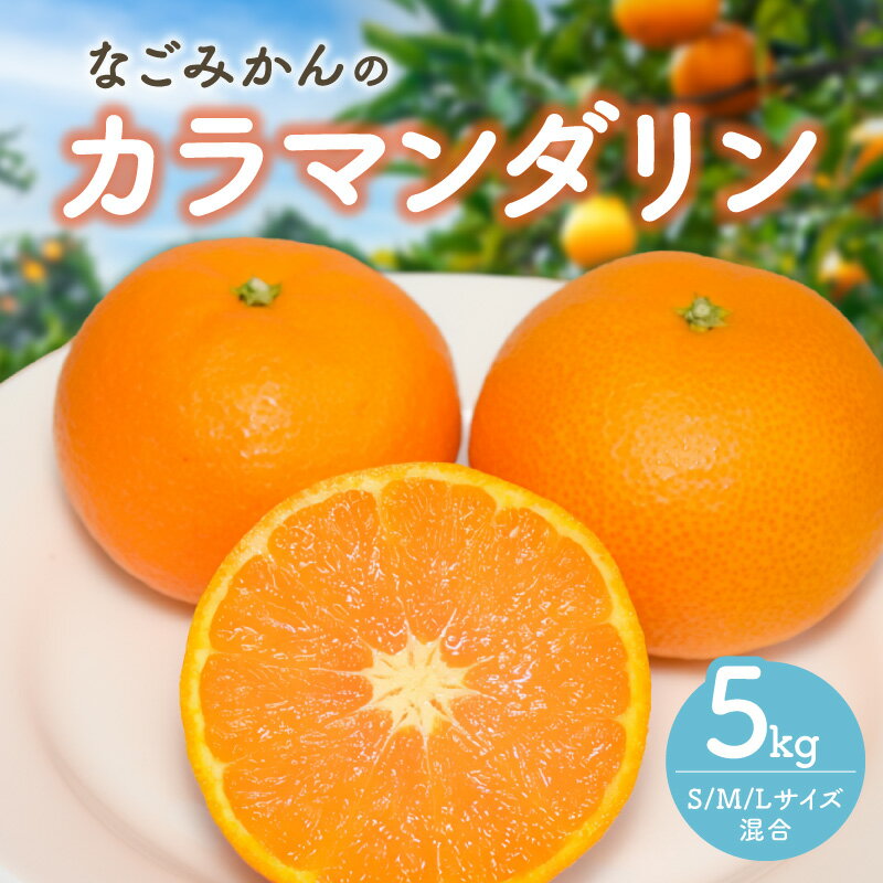 【ふるさと納税】【2027年発送先行予約品】なごみかん カラマンダリン 5kg【甘味と酸味が濃厚なカラマンダリン】