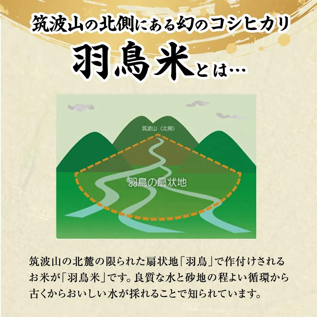 《全3回 定期便》《 令和8年産 先行予約 》 コシヒカリ 「幻の米 羽鳥米」 計 9kg (3kg × 3回) 筑波北麓秘蔵米 お米 ごはん 精米 コメ 白米 国産 茨城県 桜川市 限定 期間限定 