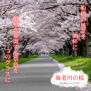 富士山　海老川の桜（赤）