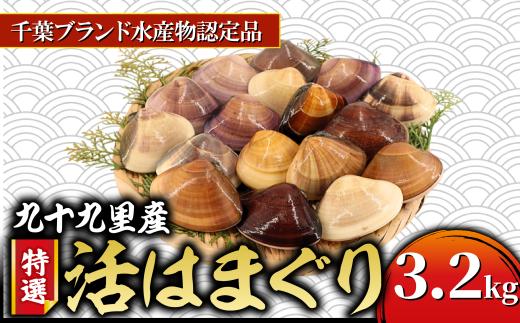 九十九里産 活け はまぐり 約3.2kg/34～44個  ≪千葉ブランド水産物認定品≫ 天然 蛤 ハマグリ 活 冷蔵 千葉県 魚介 海鮮 貝 貝類 だし 酒蒸し 九十九里浜 お祝い おせち 贅沢 人気 おすすめ 贈答 ギフト お取り寄せ 送料無料 ふるさと納税 不動丸 旭市 fdm001