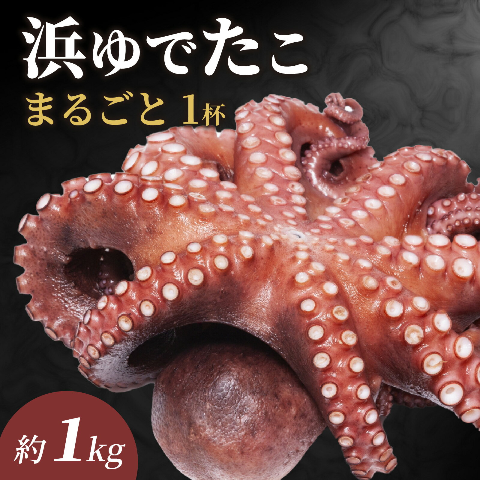 【ふるさと納税】【先行予約】【浜ゆで！！】南越前町産　真蛸　約1.0kg【2026年5月中旬ごろ順次発送】／ 真蛸 生 タコ お刺身 海鮮BBQ 海鮮バーベキューセット bbq バーベキュー 貝 ギフト 海鮮 贈答 海鮮 お取り寄せ 冷凍 産地直送 海直送 港直送 送料無料