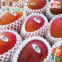 【ふるさと納税】《先行予約》2025年発送【楽園の果実】有機JAS認証の圃場で育ったマンゴー（アーウィン）わけあり 1kg