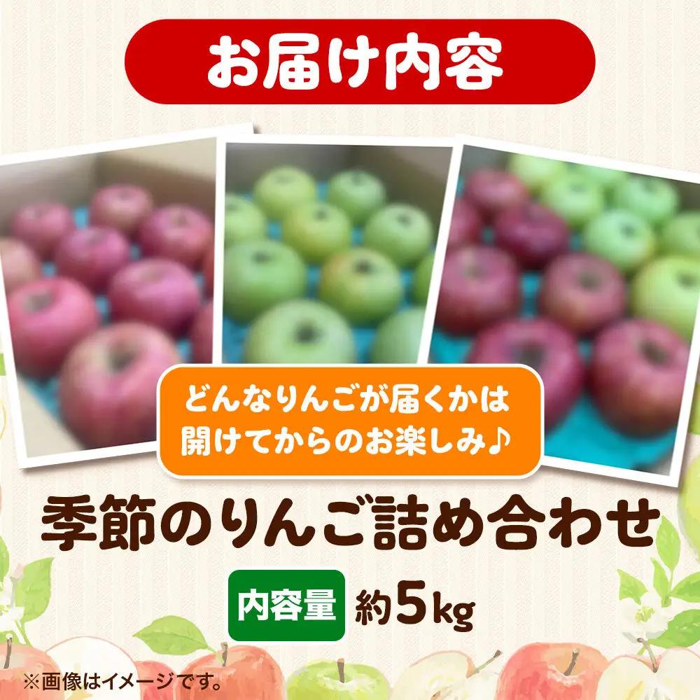 りんご 季節のおすすめBOX 家庭用 約5kg 先行受付 9月発送 りんご
