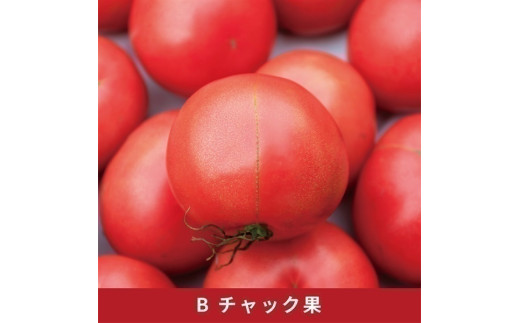 訳あり 完熟 大玉トマト 3.6キロ