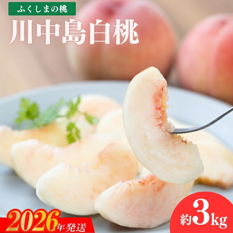 【ふるさと納税】No.2415もも「川中島白桃」 約3kg【2026年発送　先行予約】