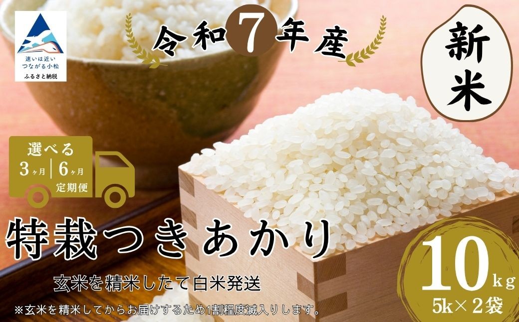 
            【定期便】特栽つきあかり 選べる3ヶ月 / 6ヶ月 （玄米10kを精米したて白米発送） 令和7年産 新米 | 石川県 小松市【のむら農産】
          