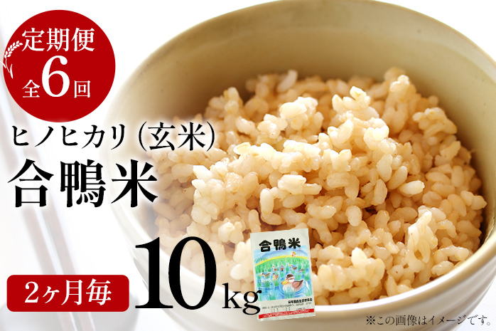 令和7年産 新米予約 合鴨米「ヒノヒカリ」（玄米・10kg）定期便6回コース　BI05　※2025年10月より順次出荷予定(隔月発送予定)