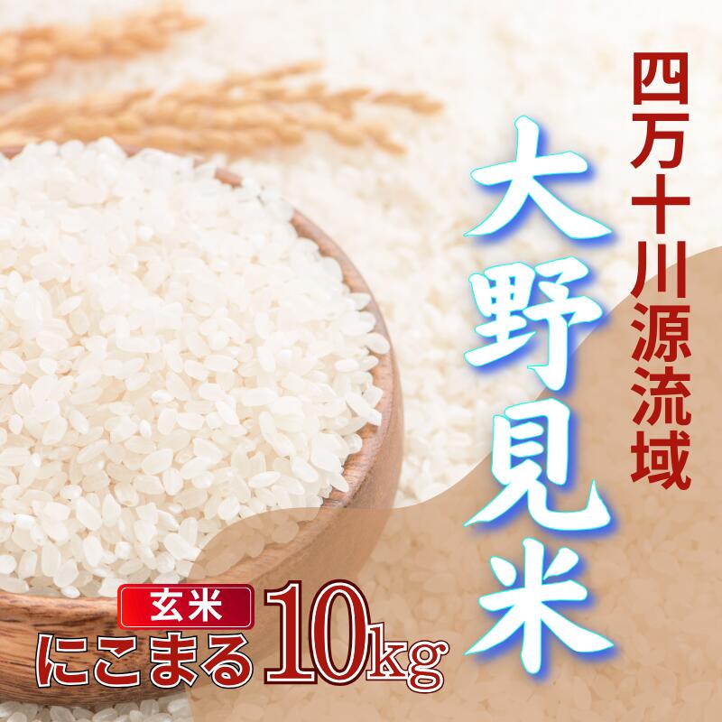 【ふるさと納税】 米 10kg にこまる 玄米 新米 お米 特別栽培 大野見米 ご飯 10キロ 四万十 高知 古谷農園