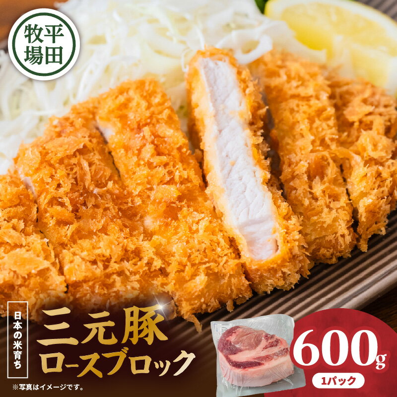 【ふるさと納税】 平田牧場 三元豚ロースブロック 600g 肉 お肉 にく 豚 豚肉 ブタ ぶた 三元豚 ロースブロック 黒豚 バークシャー種 特別品種 便利 パック おかず 夕食 美味しい おいしい ジューシー 北海道 苫小牧市 おすすめ ランキング プレゼント ギフト