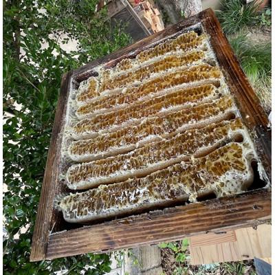 ふるさと納税 長野県 日本ミツバチ百花はちみつ(小)|subako|長野県産|非加熱|無添加| |  | 02