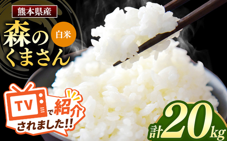 令和7年産 新米  熊本県産 森のくまさん 白米 20kg | 小分け 5kg × 4袋  熊本県産 こめ 米 白米 ごはん 銘柄米 ブランド米 単一米 人気 日本遺産 菊池川流域 こめ作り ごはん ふるさと納税 返礼品