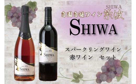 スパークリングワイン・赤ワインセット【自園自醸ワイン紫波】