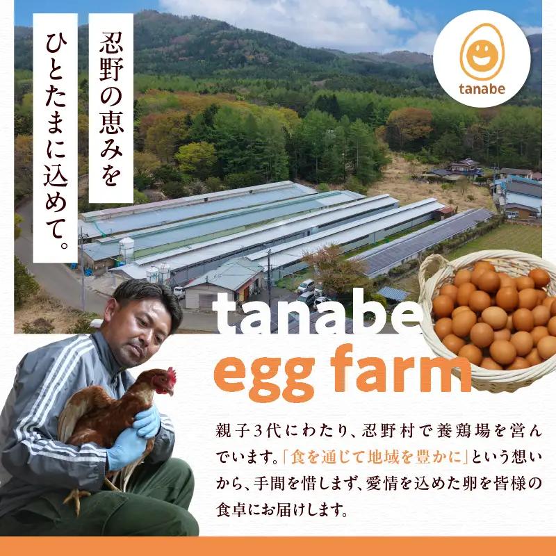 【1月配送分】”忍野の卵”コクの赤玉30個 ※割れ保証含む 卵