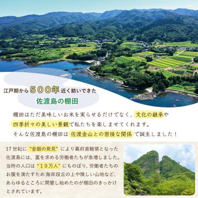 ふるさと納税 佐渡市 佐渡島産コシヒカリ 片野尾棚田米 白米4kg(2kg×2袋)【令和7年産】 |  | 02