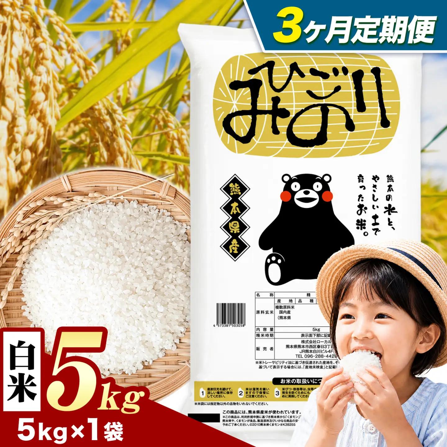 【3ヶ月定期便】ひごみのり 白米 熊本県産 ブレンド米 5kg 熊本県産 ふるさと納税  精米 米 こめ ふるさとのうぜい コメ お米 おこめ《申込み翌月から発送》