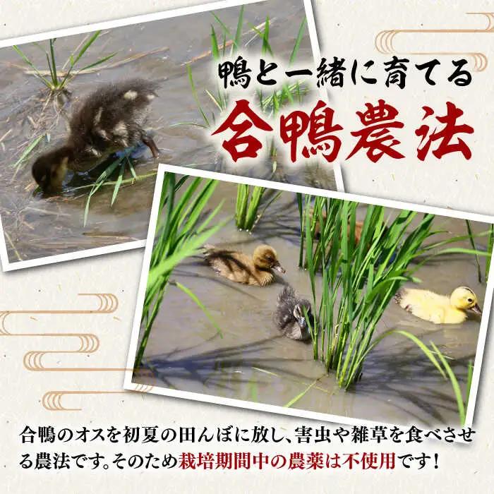 純米酒 一鳥万宝 2本 ADBF004 純米吟醸 日本酒 酒 地酒 米
